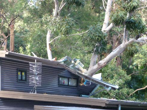 House covered by trees - Tree surgery in NSW