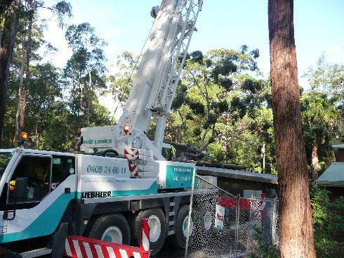 Truck - Tree surgery in NSW